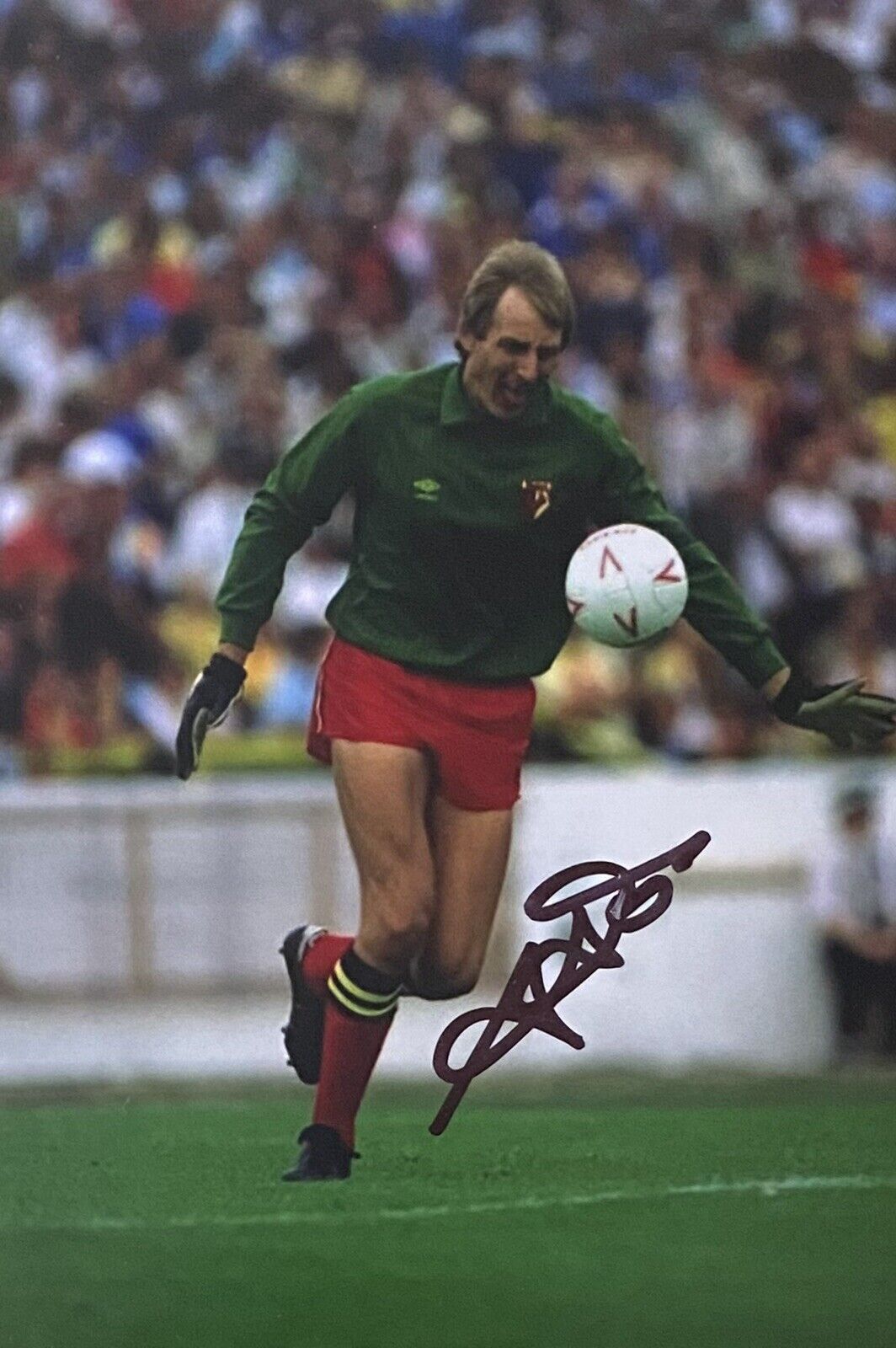 Steve Sherwood Genuine Signed Watford 6X4 Photo Poster painting 4