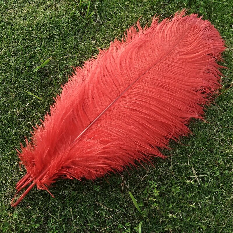 VCshoes Ostrich Feather Handicrafts White Angel Wings Birthday Wedding Room Party Decoration