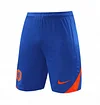 2025 Netherlands Blue Short-Sleeve Training Kit