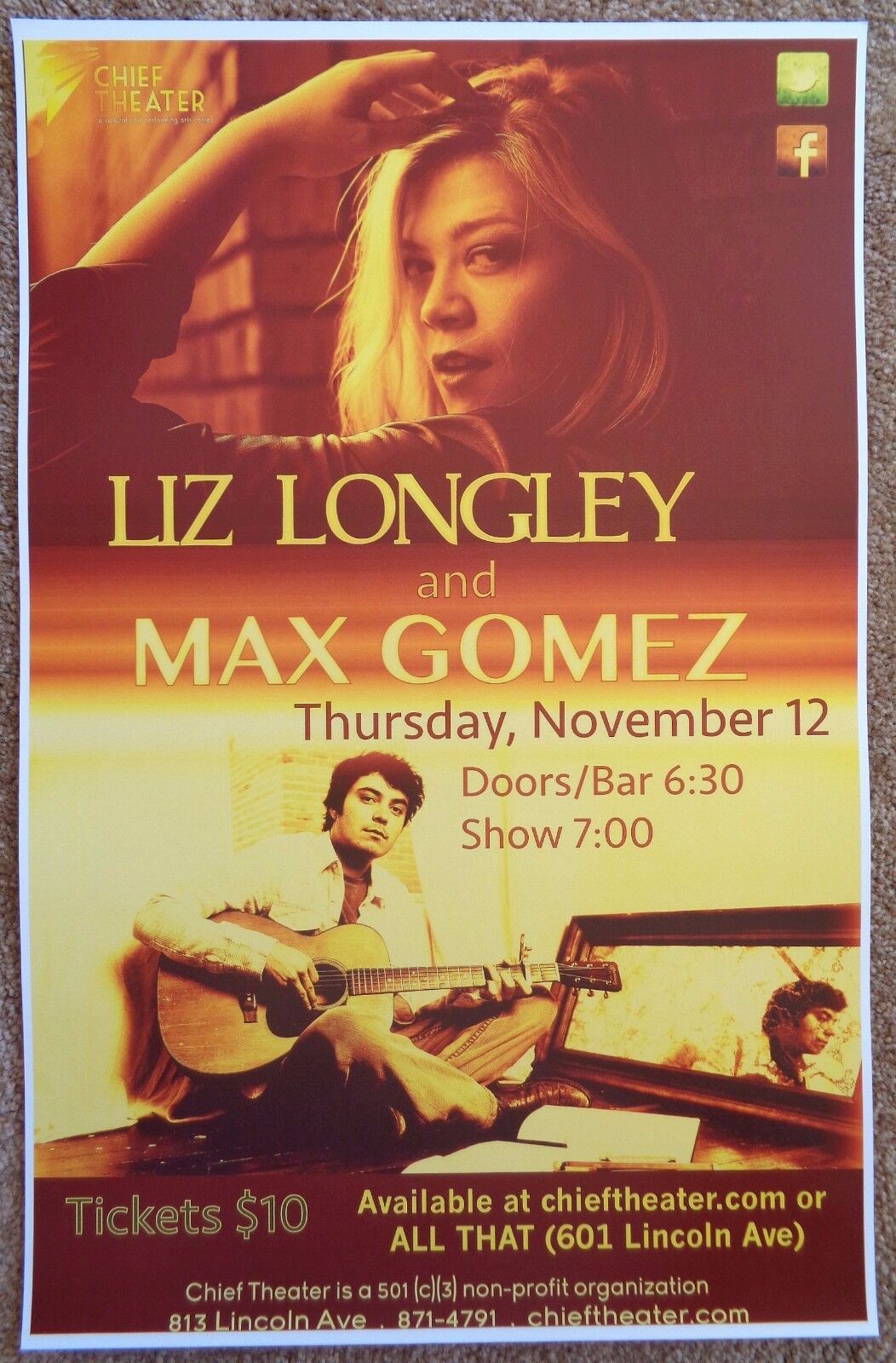 LIZ LONGLEY 2015 Gig POSTER Steamboat Springs Colorado Concert