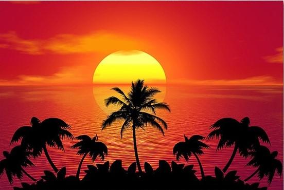 

Sunset Island Palm Trees – Paint By Numbers - 40*50CM, 501 Original