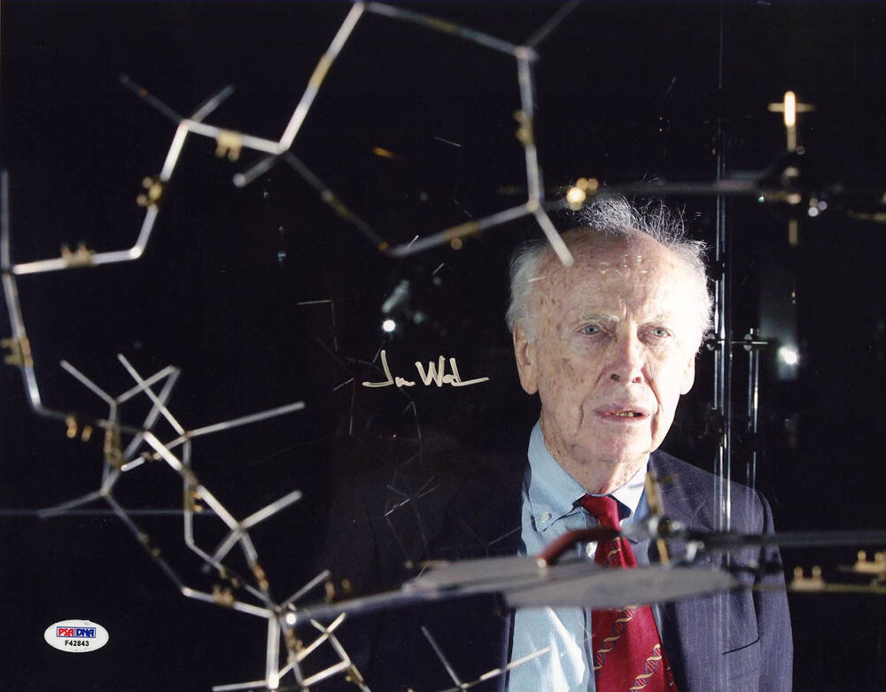 James D. Watson SIGNED 11x14 Photo Poster painting Double Helix FULL LETTER PSA/DNA AUTOGRAPHED