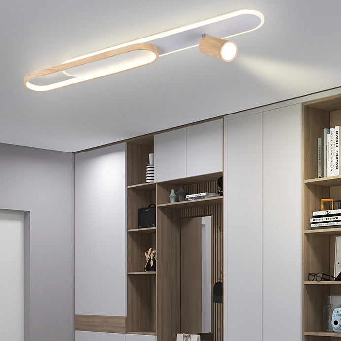 Modern Minimalist Long Oval Cylinder Acrylic Iron LED Flush Mount Ceiling Light For Living Room