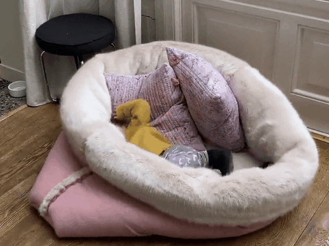 PRE-ORDER Tweed FLOOF for People Escape Den Cuddle Cave Dog Bed for Humans  Floor Pillow Lounge People Pocket 