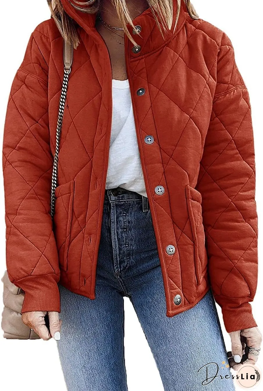 Chic and Versatile winter Jacket