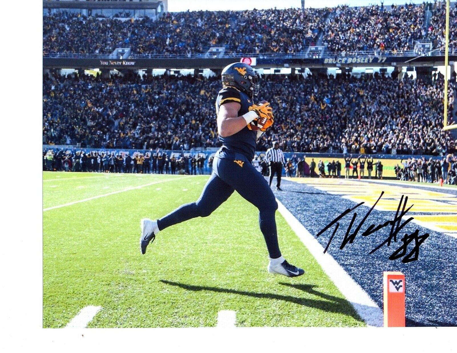 Trevon Wesco West Virginia Mountaineers signed autographed 8x10 football Photo Poster painting b