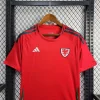 2024 Wales HomeFootball Shirt 1:1 Thai Quality