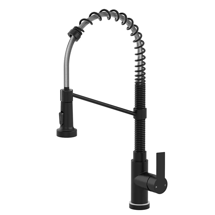 EVERSTEIN Pull Down Kitchen Faucet with LED & Spring Neck Matte Black 