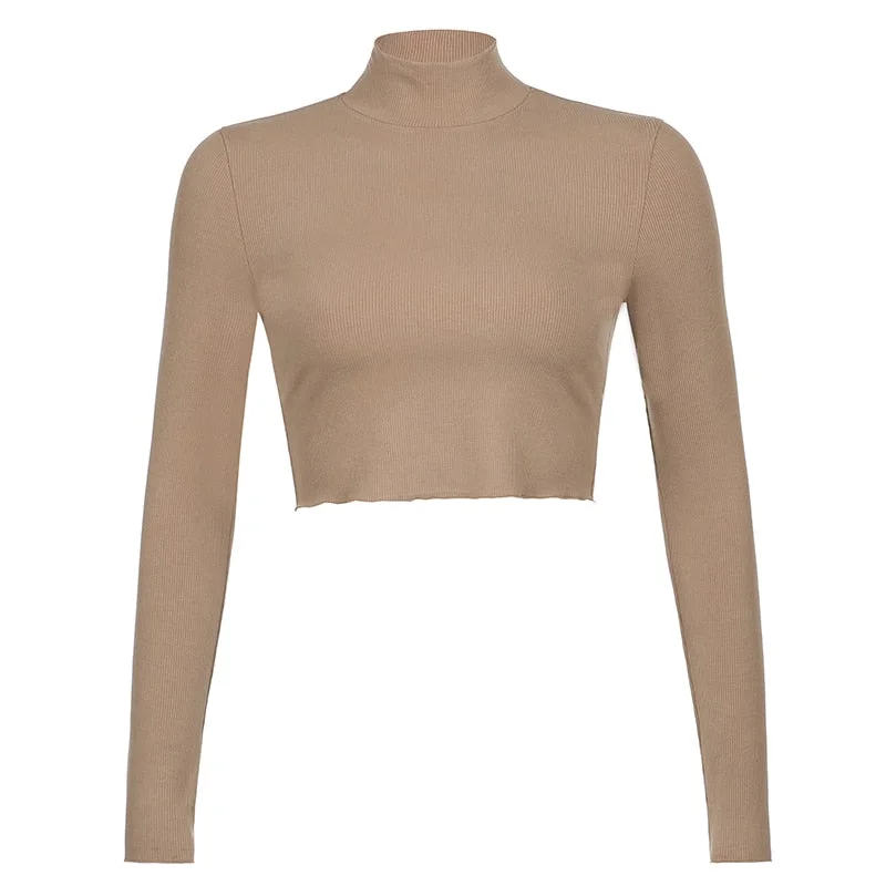HEYounGIRL Solid Nude Turtleneck Cropped T Shirt Women Autumn Casual Long Sleeve T-shirt Ladies Skinny Basic Tee Shirt Femme