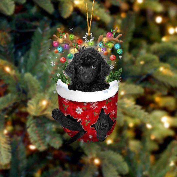 Toy Poodle In Snow Pocket Christmas Ornament.
