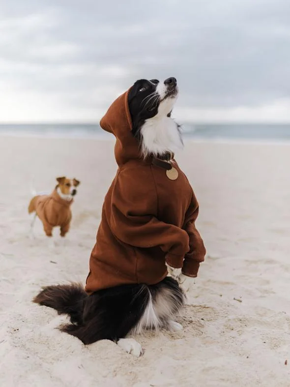Brown Matching Dog and Owner Hoodies