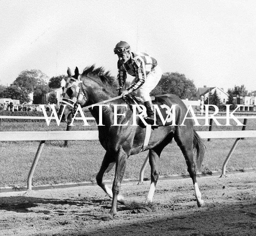 SECRETARIAT 1973 Champion Triple Crown Horse Racing 8 x 10 Photo Poster painting