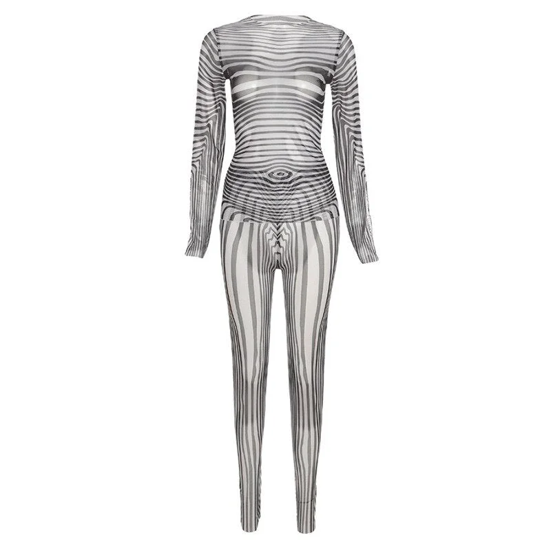 Hawthaw Women Autumn Long Sleeve Tops Long Pants Zebra Striped Printed Mesh Two Piece Set Suit 2021 Female Wholesale Clothes