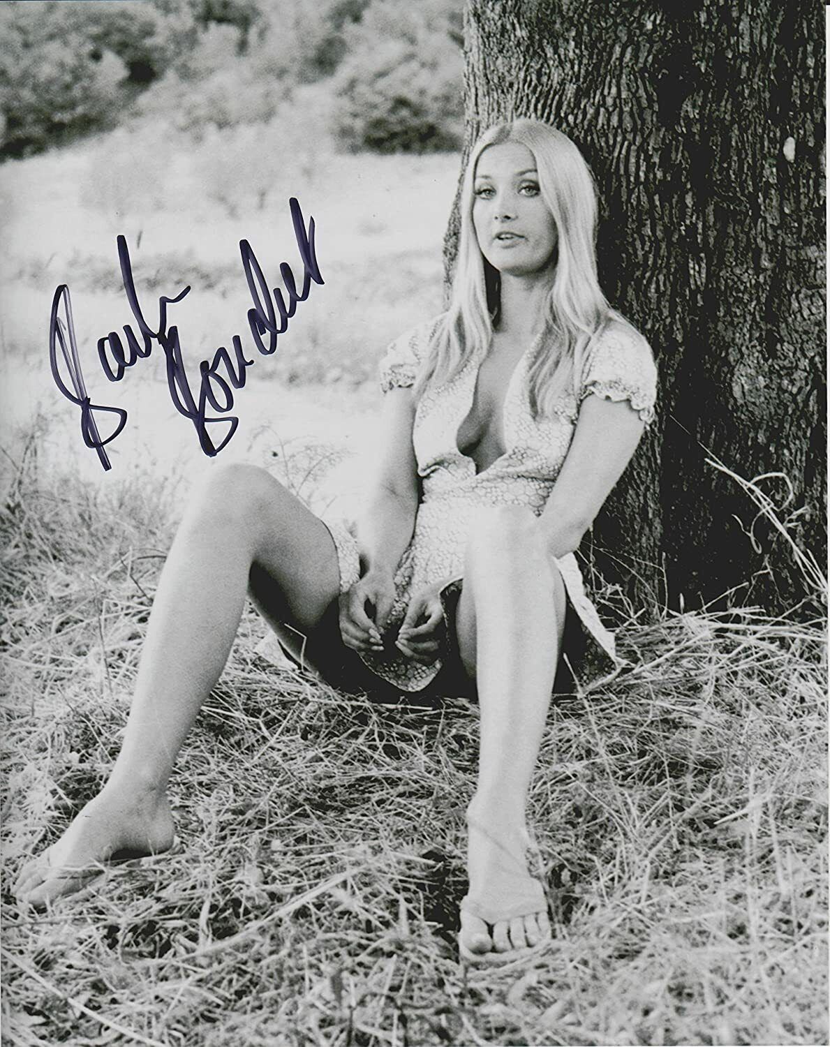 Barbara Bouchet # 15 Original Autographed 8X10 Photo Poster painting Bond,Star Trek Pin Up Babe