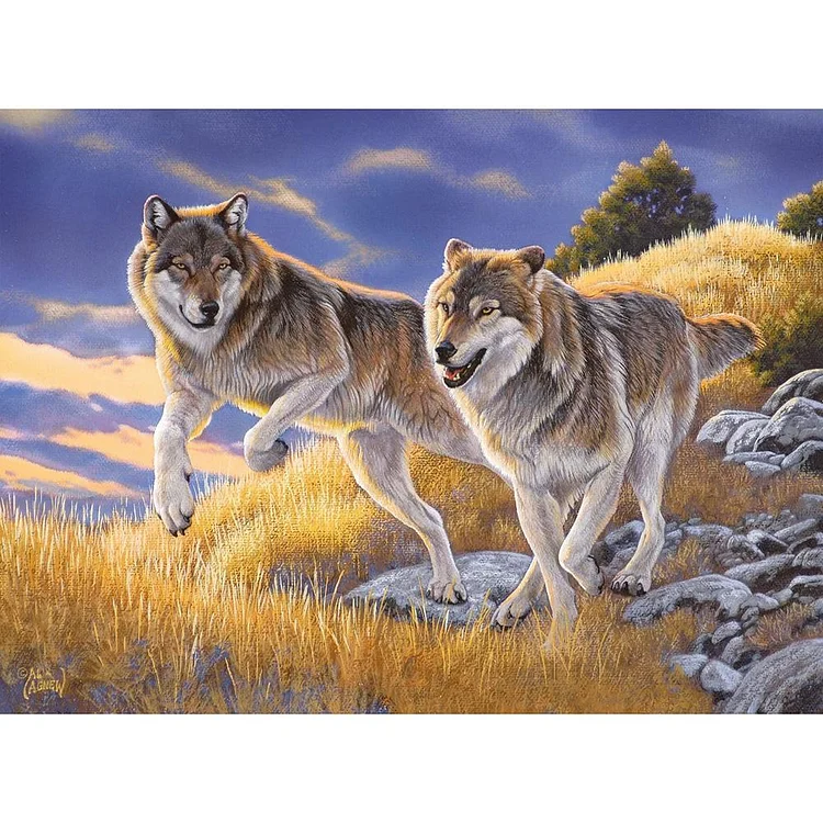 Wolf - 14CT 2 Strands Threads Printed Cross Stitch Kit - 46x36cm(Canvas)