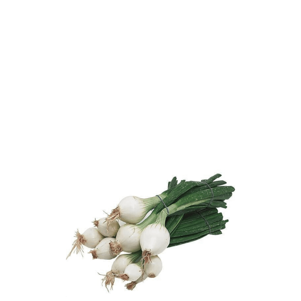 Green Spring Onion Seeds &ndash; La Reina | Mild, Crisp & Fast-Growing