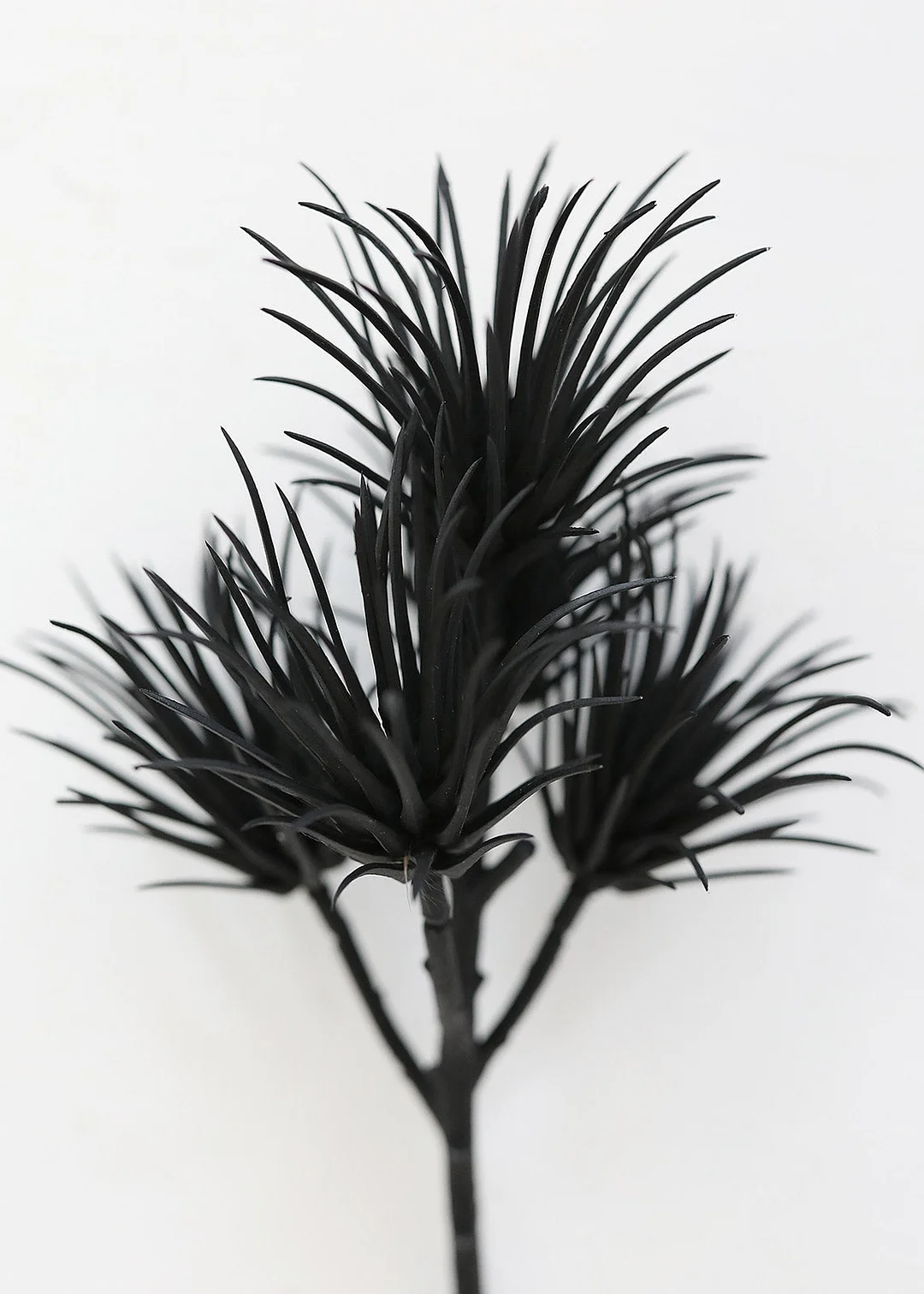 Plastic Artificial Succulent in Black - 8.5"