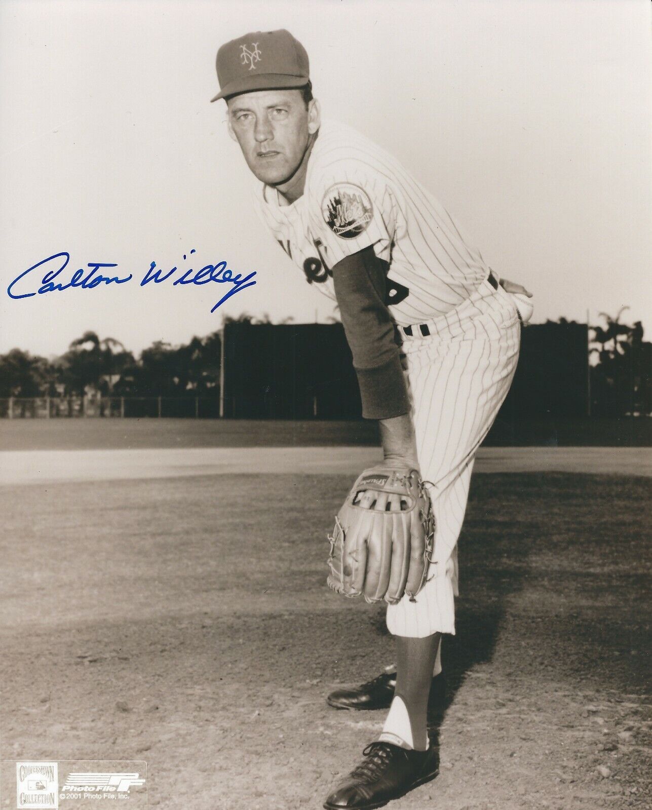 Signed 8x10 CARLTON WILLEY NEW YORK METS Autographed Photo Poster painting - COA