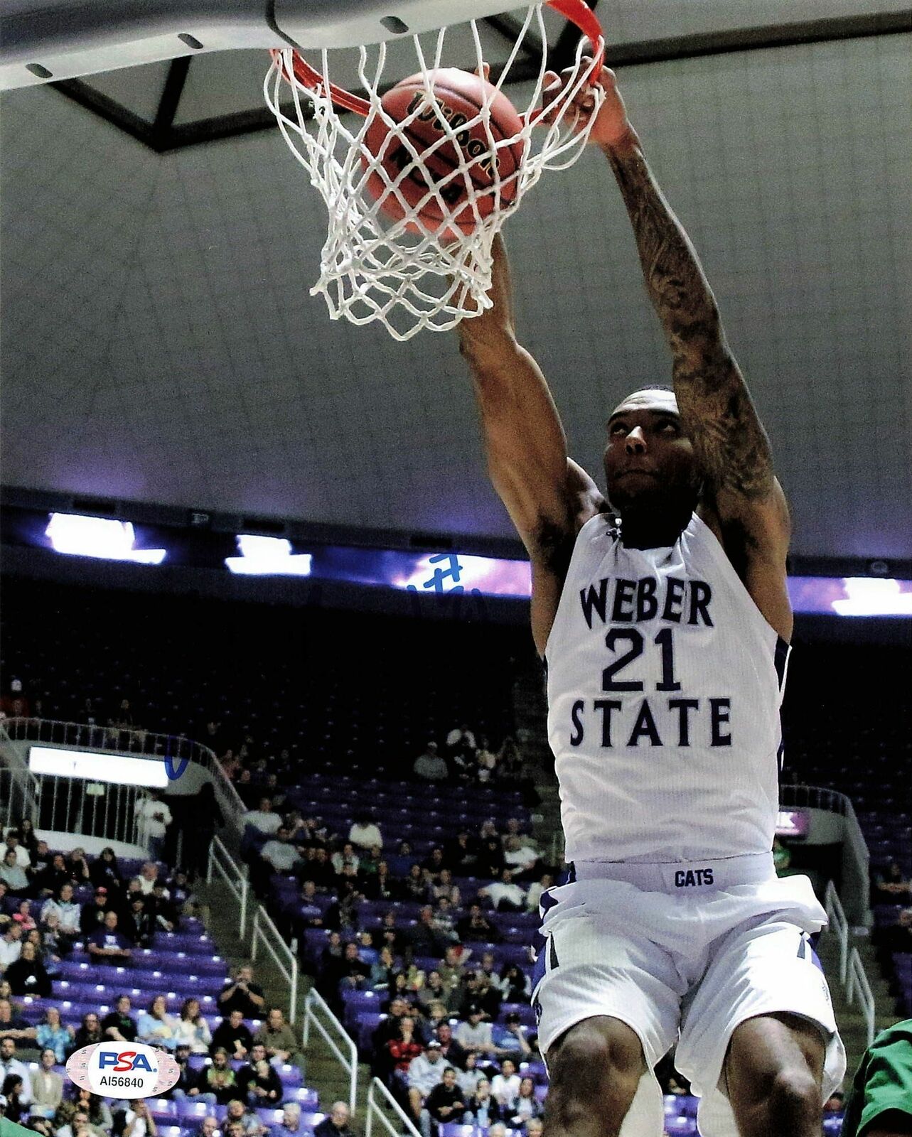 Joel Bolomboy signed 8x10 Photo Poster painting PSA/DNA Weber State Wildcats Autographed