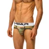 New cotton sexy men's briefs