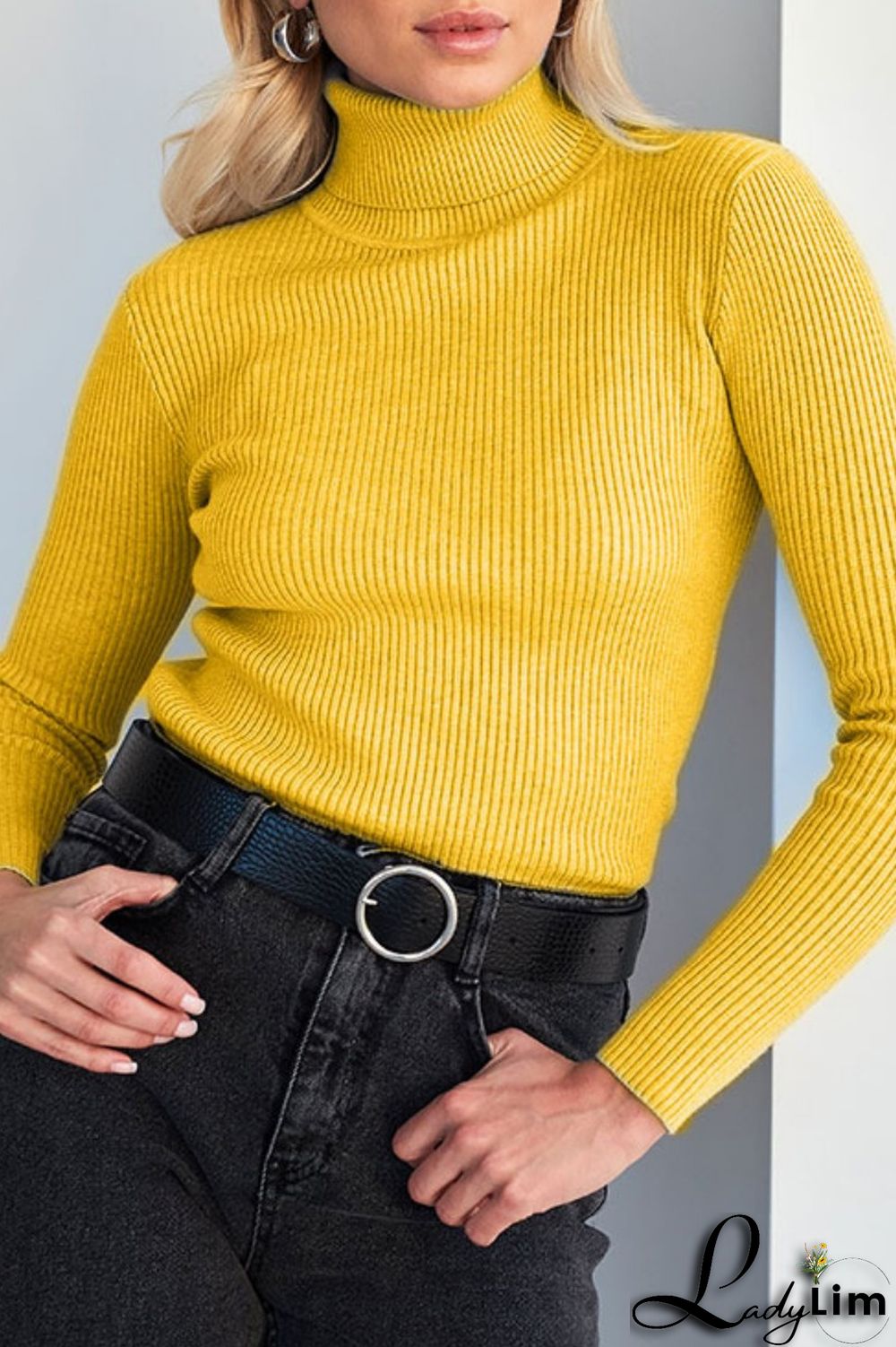 Black Casual Solid Basic Turtleneck Tops