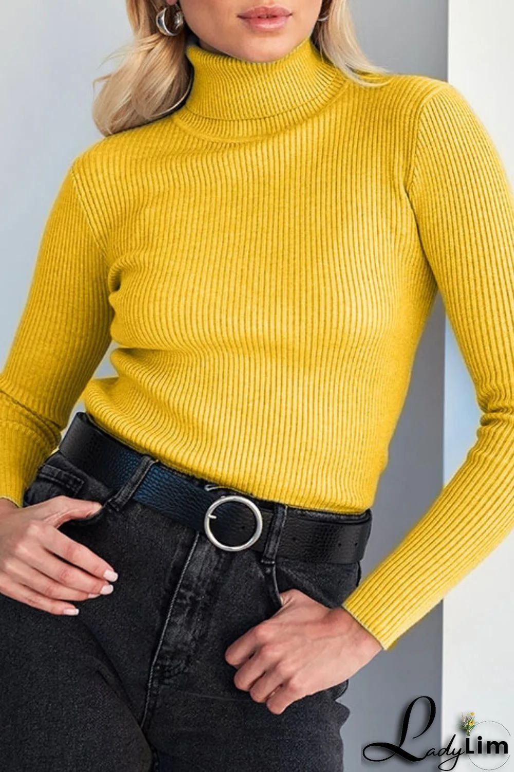 Black Casual Solid Basic Turtleneck Tops