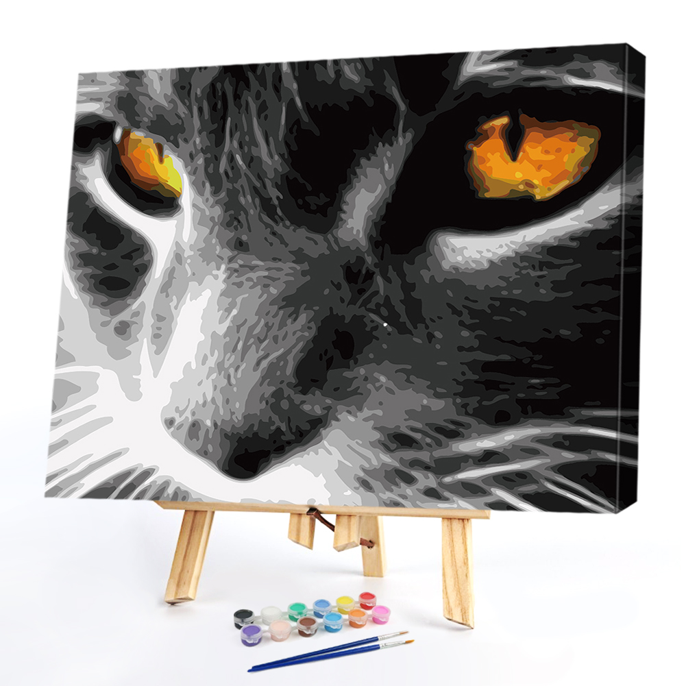 

40*50CM - Paint By Numbers - Cat Eye, 501 Original