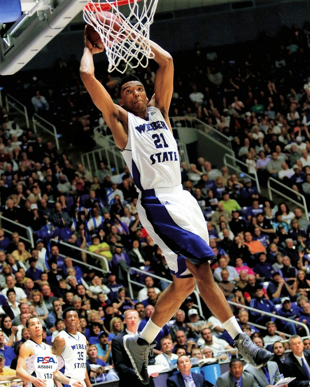 Joel Bolomboy signed 8x10 Photo Poster painting PSA/DNA Weber State Wildcats Autographed