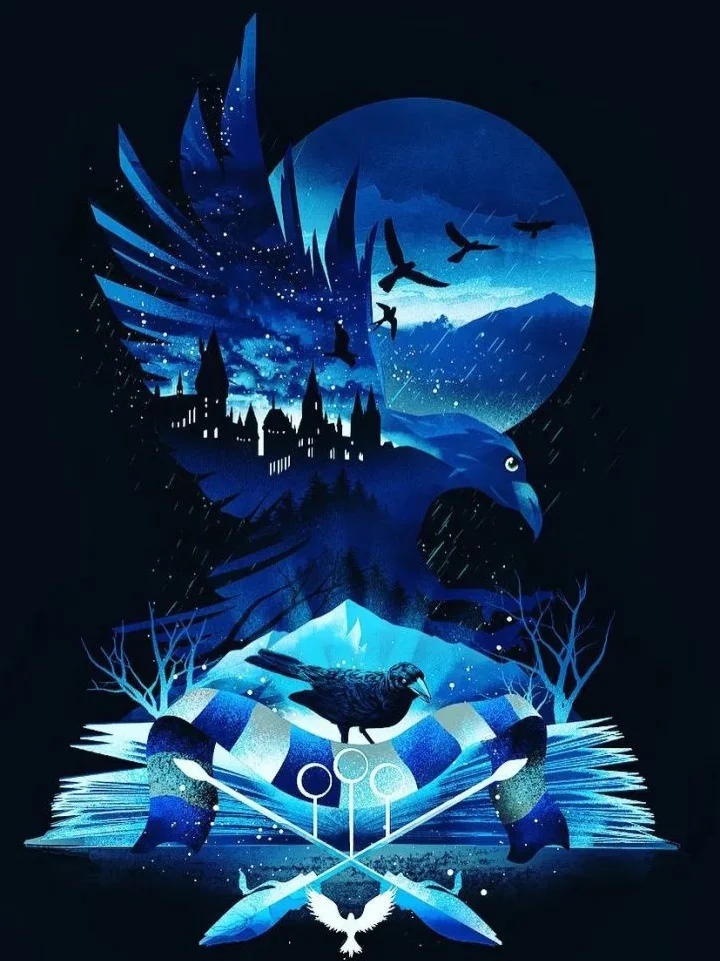 Silhouette - Disney Harry Potter 11CT Stamped Cross Stitch 40*56CM