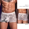 Men's Lace Transparent UnderwearS Sexy Elephant Trunk Boxer Briefs