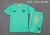 Fluminense 25/26 green inkjet Short-Sleeve Training Kit