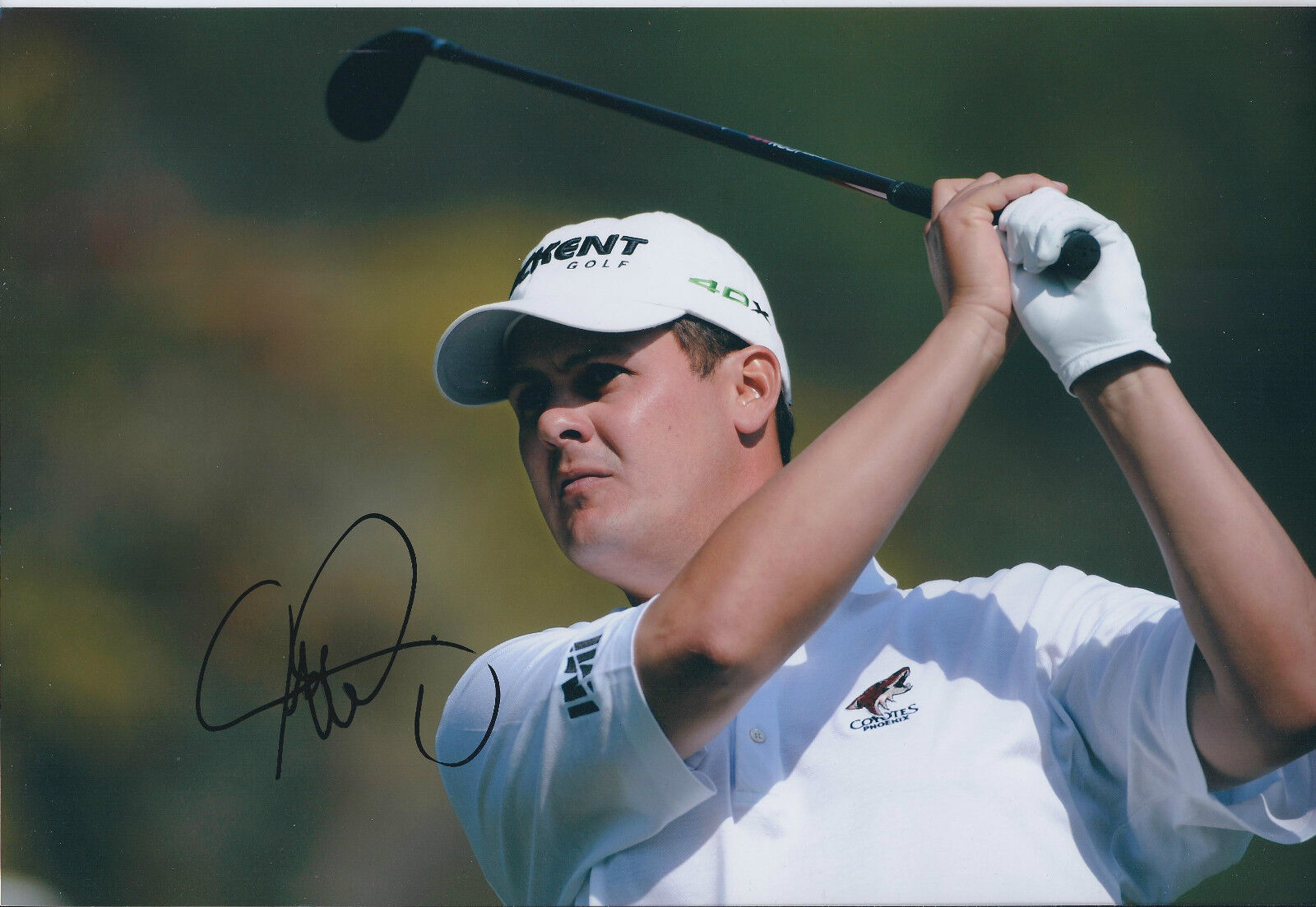 Jeff QUINNEY SIGNED Autograph 12x8 Photo Poster painting AFTAL COA USA Walker Cup GOLF