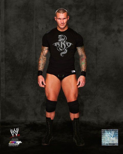 WWE RANDY ORTON OFFICIAL LICENSED 8X10 Photo Poster paintingFILE Photo Poster painting 11