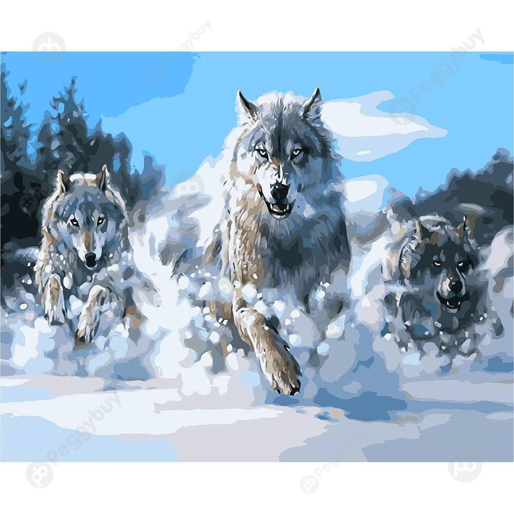 

40*50CM Paint By Numbers-Wolf, 501 Original