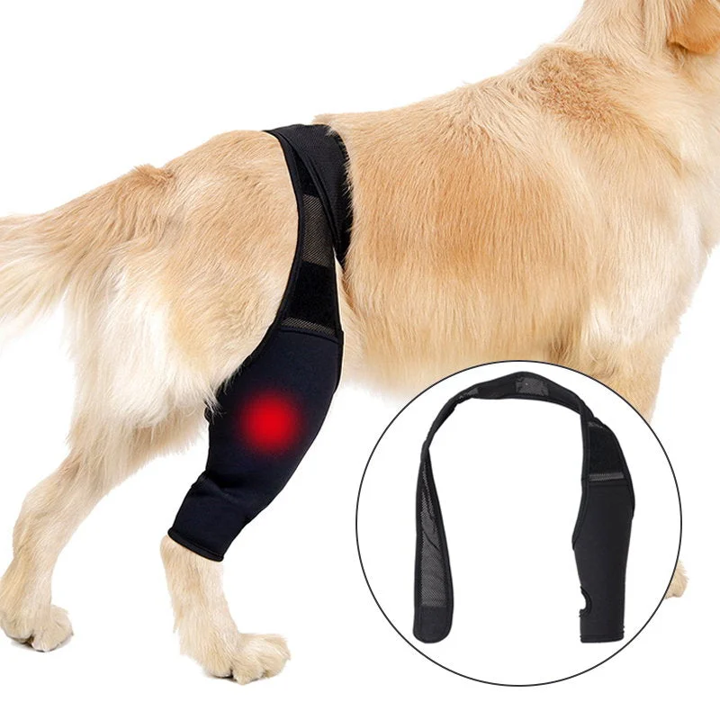 Dog Knee Brace Support For Torn Acl 