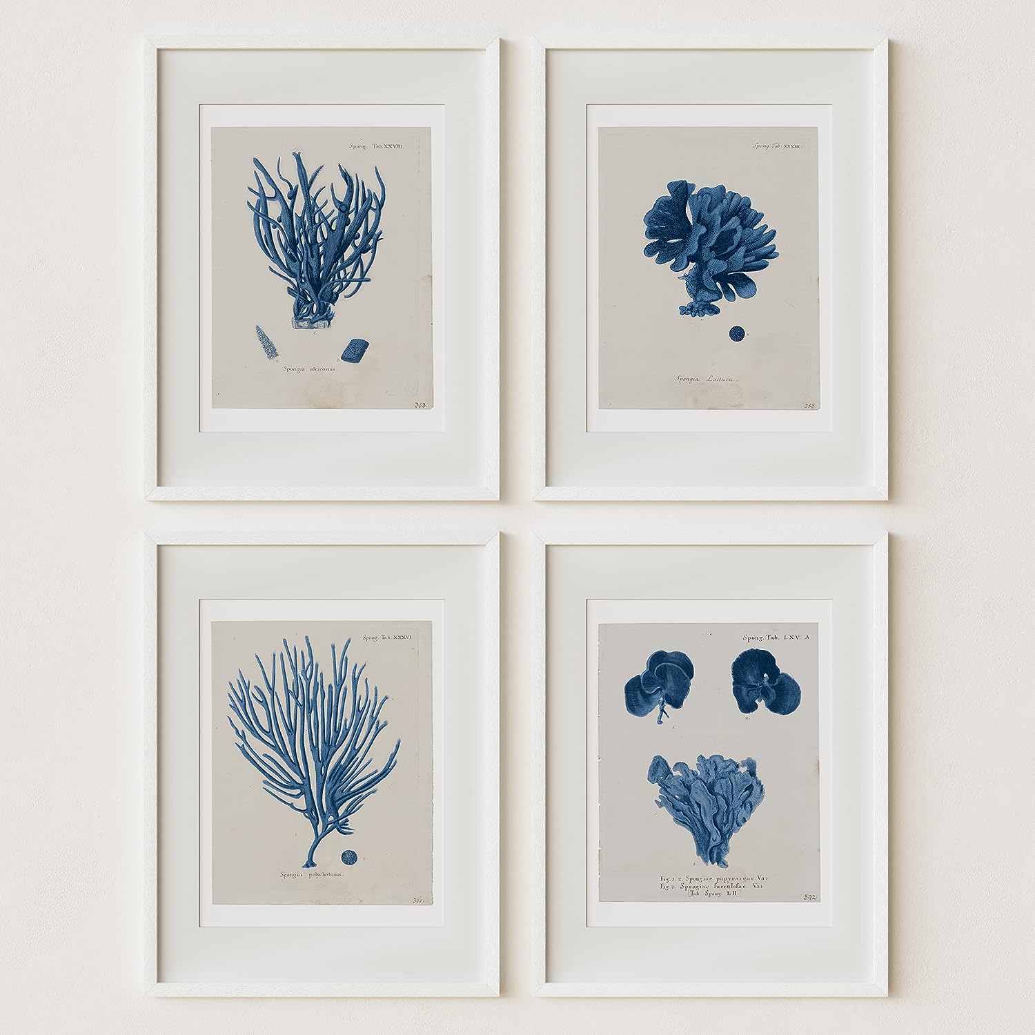 Vintage Wall Art Coral Study Prints | Antique Boho Minimalist Artwork Beach Theme Home Decor for Bedroom, Living Room, Bathroom, House or Office Wall Decor | Set of 4 UNFRAMED Pictures (11x14, Indigo) 11x14