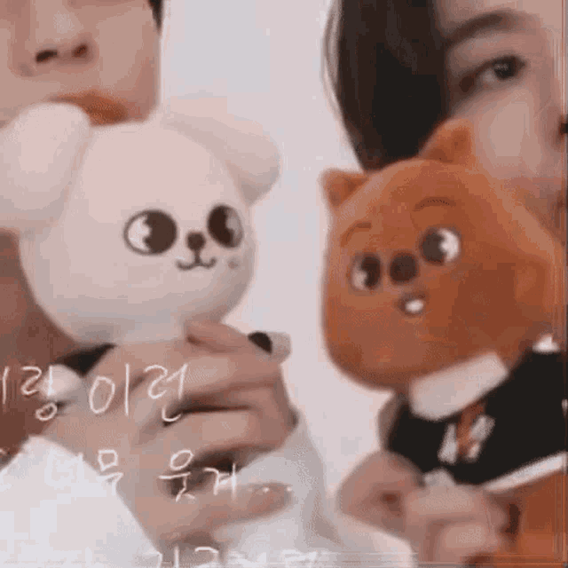 puppym skzoo plush