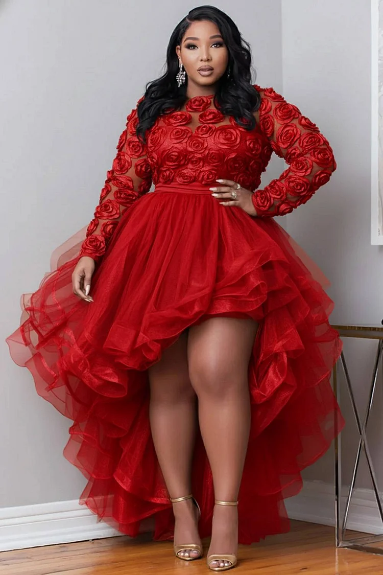 Xpluswear Design Plus Size Party Gold Round Neck Long Sleeve 3D Elegant High Low Hem Tulle Mini Dresses 2024 - Xpluswear