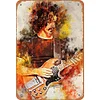 Frank Zappa - Vintage Metal Signs - 20*30cm/30*40cm - Music