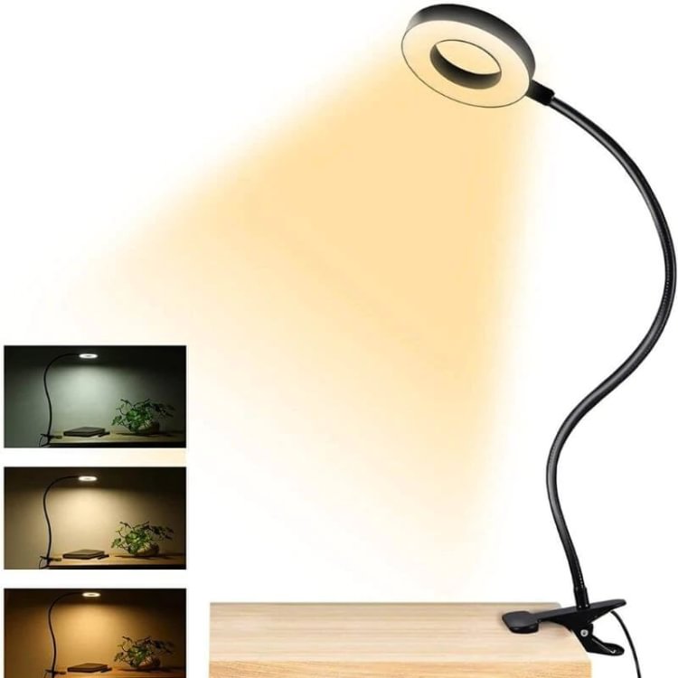 Clip-on Light Reading Table Lamp - Appledas