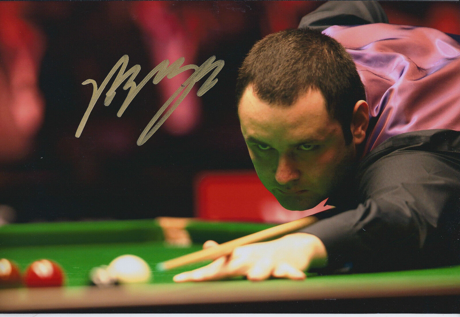 Stephen MAGUIRE SIGNED 12x8 Photo Poster painting AFTAL COA Snooker WELSH Open WINNER