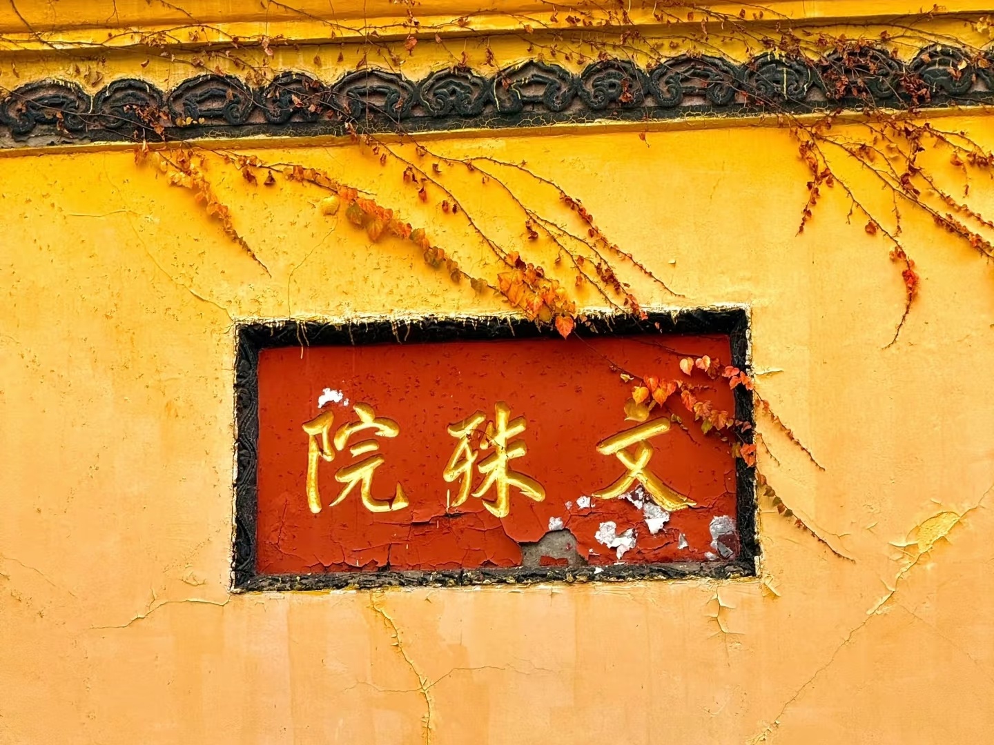 Buddhist Culture Experience Day Tour