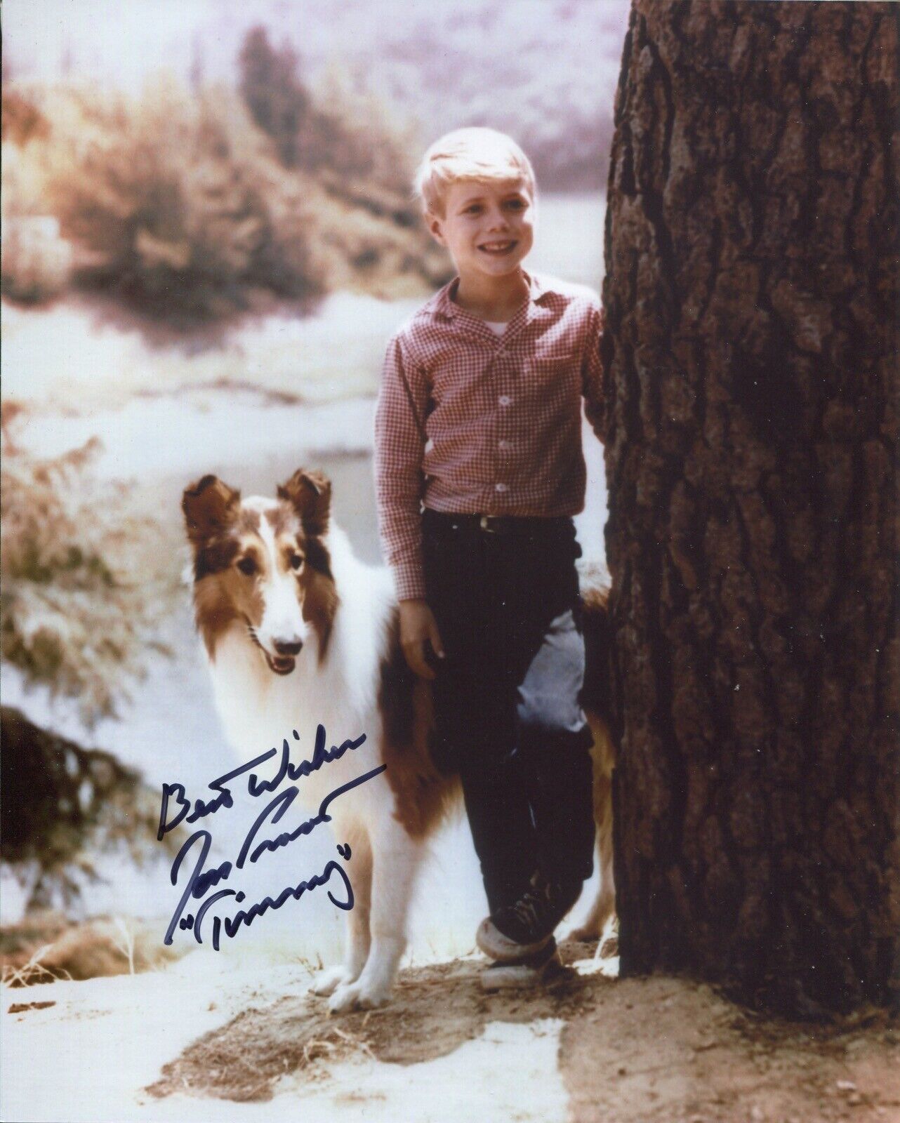 Actor Jon Provost signed LASSIE 8x10 Photo Poster painting IMAGE No6