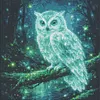 Diamond Painting -DIY Round Drill Fluorescent Owl(40x40cm)