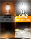 forenner H13 Fog Light Bulbs Upgraded 800% 33000LM Super Bright,1:1 Mini Size Direct Installation 6500K Cool White 9008 Fog Light, 7-Year Long Service Life with Fan, IP68 Waterproof Pack of 2