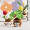 (Finished Product)Crochet Flower Potted Doll with Positive Card Desktop Ornaments, Potted Plants, Bouquets Gift Home Decor