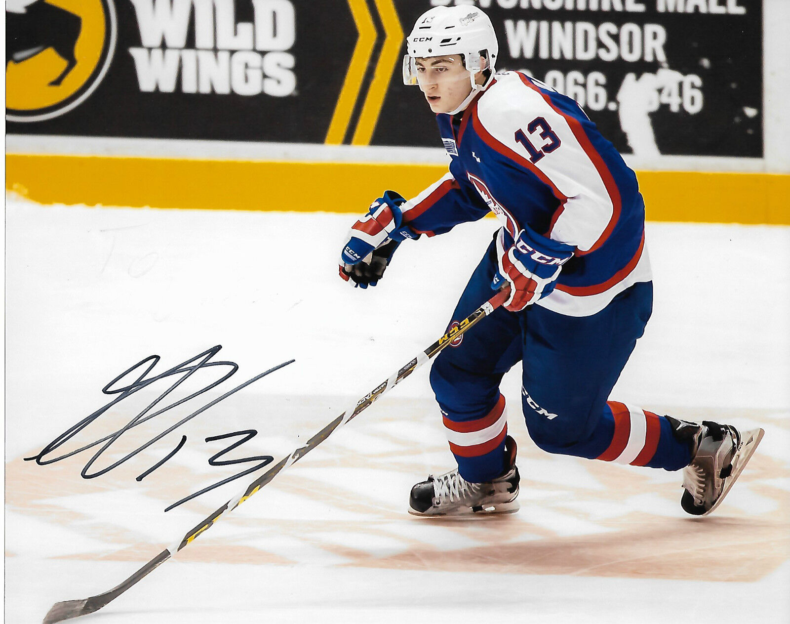 Windsor Spitfires Gabriel Vilardi Autographed Signed 8x10 Photo Poster painting COA