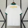 24/25 Palmeiras Soccer Jersey Away
