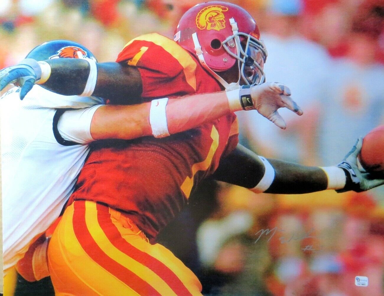 Mike Williams Signed Autographed 16X20 Photo Poster painting USC Trojans Making Catch GAI COA