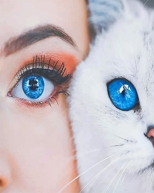 

Cat Woman Beautiful Blue Eyes – Paint By Numbers - 40*50CM, 501 Original